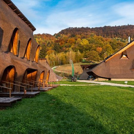 Cuibul De Lemn Hotel Rîşnov Buitenkant foto